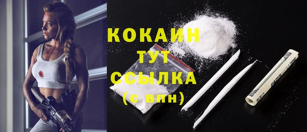 соль ск Алагир