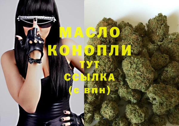 бошки Ладушкин