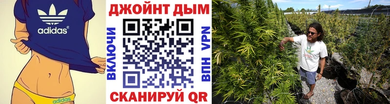 Бошки марихуана LSD WEED Шенкурск